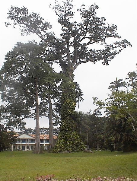 File:Aburi botanical gardens.jpg