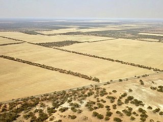 Murray Mallee Region in South Australia