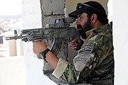 在派克蒂卡省邊境利用其AMD-65上的512及Aimpoint 3XMAG掃視環境的阿富汗國家警察指揮官