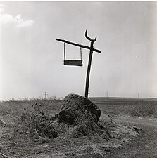 אחוזת שושנה, 1962