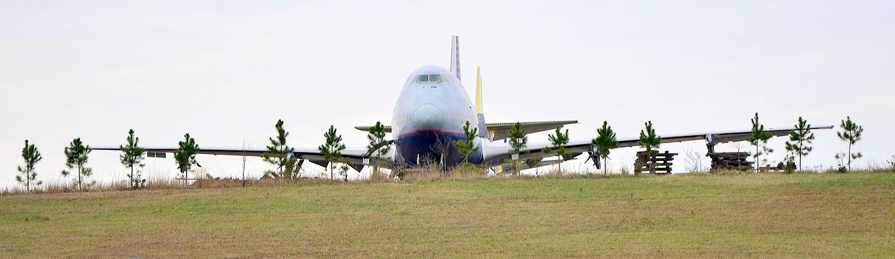 Hiding behind the trees - Tupelo, Mississippi