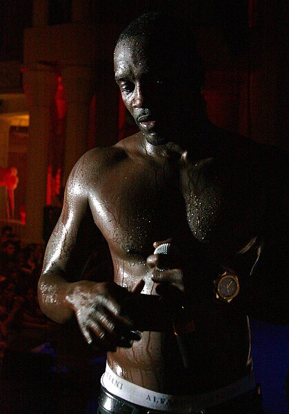 File:Akon by Sandra Alphonse.jpg