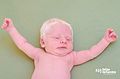 Albino baby by Felipe Fernandes 04.jpg
