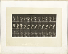 Animal locomotion. Plate 238 (Boston Public Library).jpg