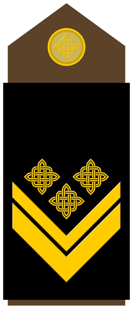 ไฟล์:Army-HRV-OR-09.svg