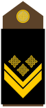 Ejército-HRV-OR-09.svg