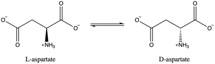 Aspartate racemase general reaction.png