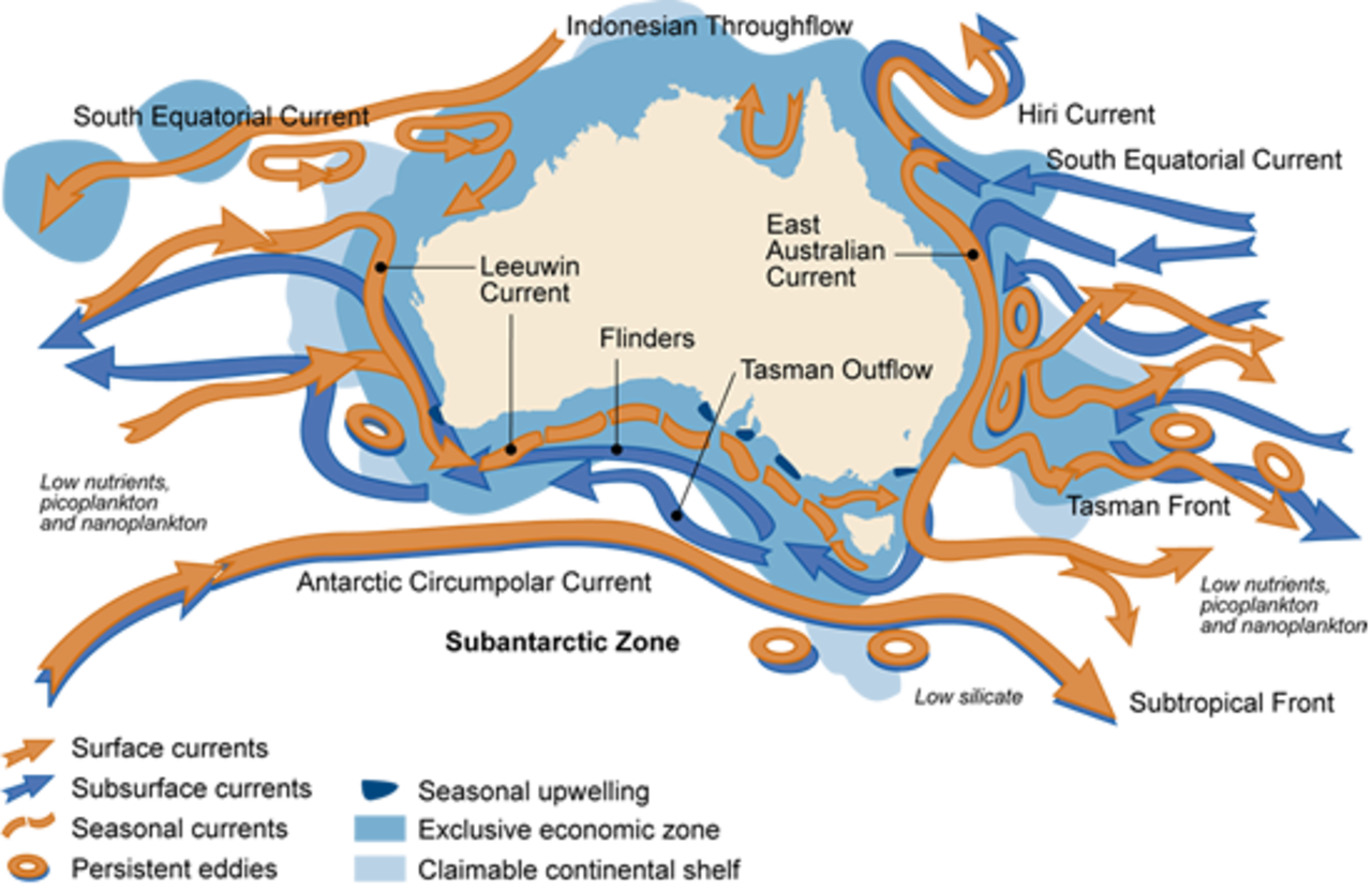 Западные течения австралии. Течения Австралии. Морские течения Австралии. Холодные течения Австралии. Течения вокруг Австралии.