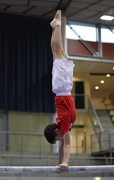 File:Austrian Future Cup 2018-11-23 Training Afternoon Parallel bars (Martin Rulsch) 0133.jpg