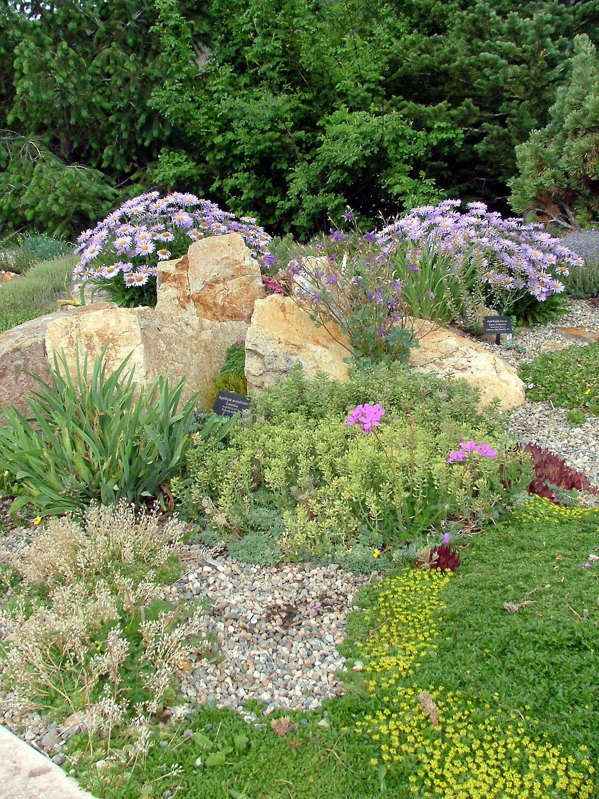 Betty Ford Alpine Gardens Wikipedia
