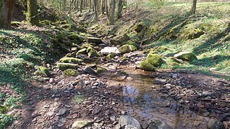 The brook of Götterhain in the rock gorge