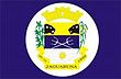 Vlag van Jaguaruna