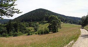 View from the Przegibek pass