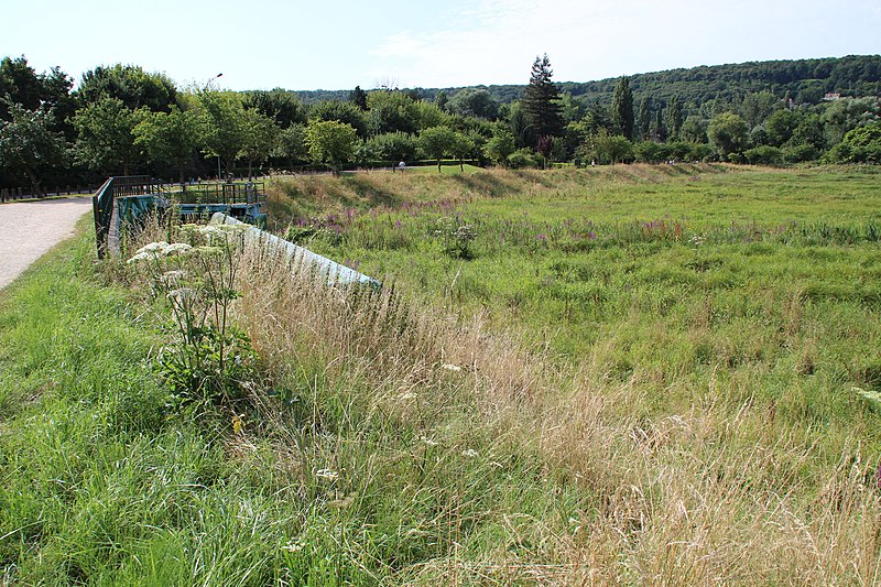 File:Bassin de Coupières à Gif-sur-Yvette 2012 19.jpg