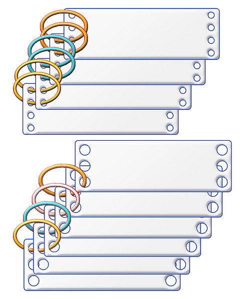 File:Bechter Diagramm.jpg