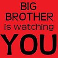 Big Brother Is Watching You.jpg