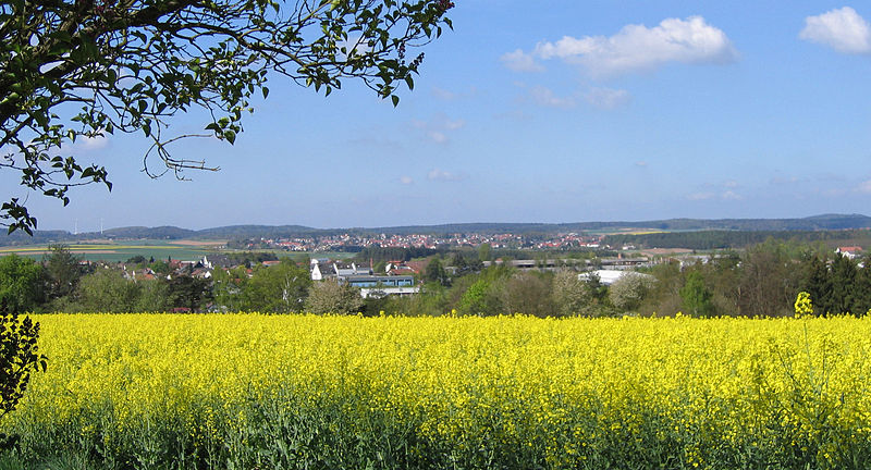 File:Blick vom Muehlberg auf Enkenbach und Mehlingen (Hans Buch).JPG