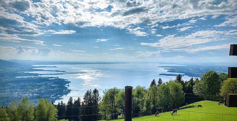 File:Blick vom Pfänder auf den Bodensee.jpg