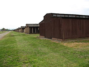 Auschwitz-Birkenau: Powstanie obozu, Zarząd i personel obozu, Struktura obozu