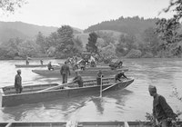 Boote der Pontoniere fahren auf der Aare in positie - CH-BAR - 3239923.tif