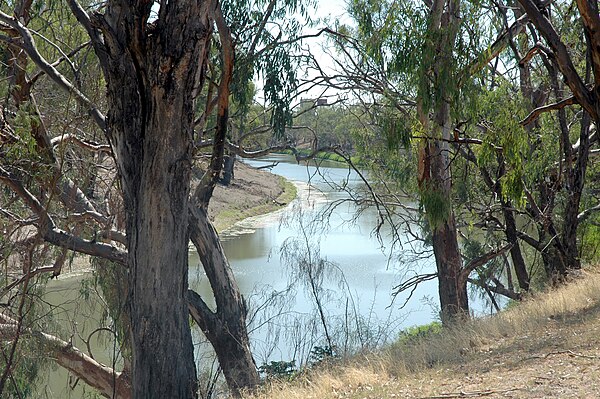 The Darling River from Bourke wharf (2010)
