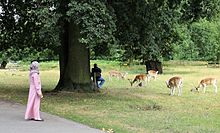 Markfield Institute student visiting Bradgate Park Bradgate Park Markfield Institute.jpg