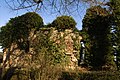 Les ruines du château de Cicé.