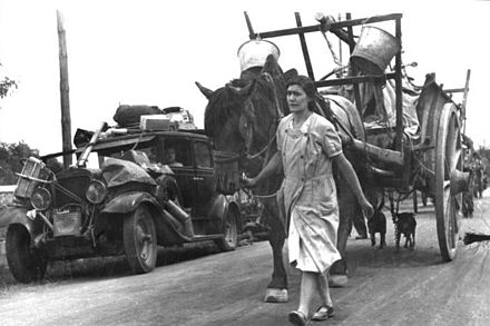 Réfugiés français sur la route de l'exode, 19 juin 1940.