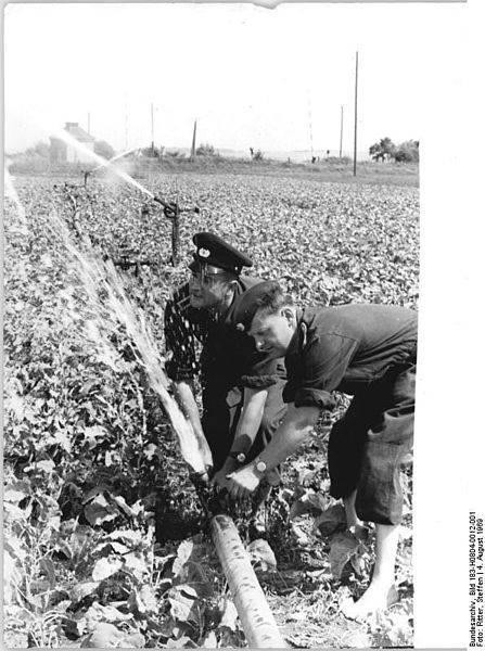 File:Bundesarchiv Bild 183-H0804-0012-001, Groß Börnecke, Feldberegnung durch Feuerwehr.jpg