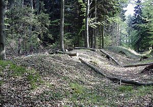 Wall of the outer bailey