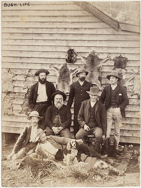 File:Bush men and dogs, with a wall of animal skins (including koala pelts), between 1870-1900.jpg