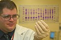 Bir DNA profilini inceleyen bir bilim adamı.(Üreten:James Tourtellotte, CBP, U.S. Dept. of Homeland Security)