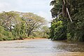 Refuge National de vie sauvage Caño Negro