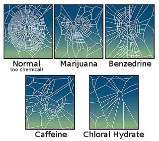 <span class="mw-page-title-main">Effect of psychoactive drugs on animals</span>