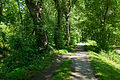 Looking downstream at Spring gap, canal towpath and prism to the left of it. (Right is the Spring Gap campground)