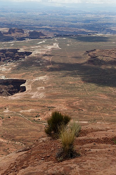 File:Canyonlands 8-14 (15297397348).jpg