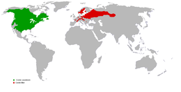 Az elterjedési területeik (a zöld a kanadai hódé, míg a vörös az eurázsiai hódé)