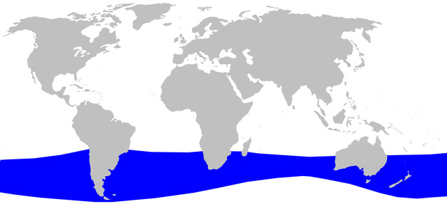 ヒモハクジラの生息域