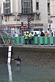 Chômage du canal Saint-Martin 2016-01-06 54.jpg