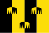 Flag of Chaam