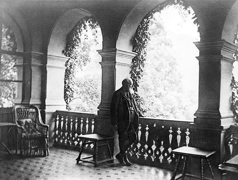 File:Christian Albert Theodor Billroth on balcony of his house Wellcome M0020268.jpg
