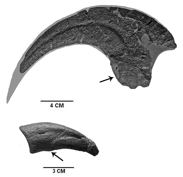 File:Claw Alt 2.jpg