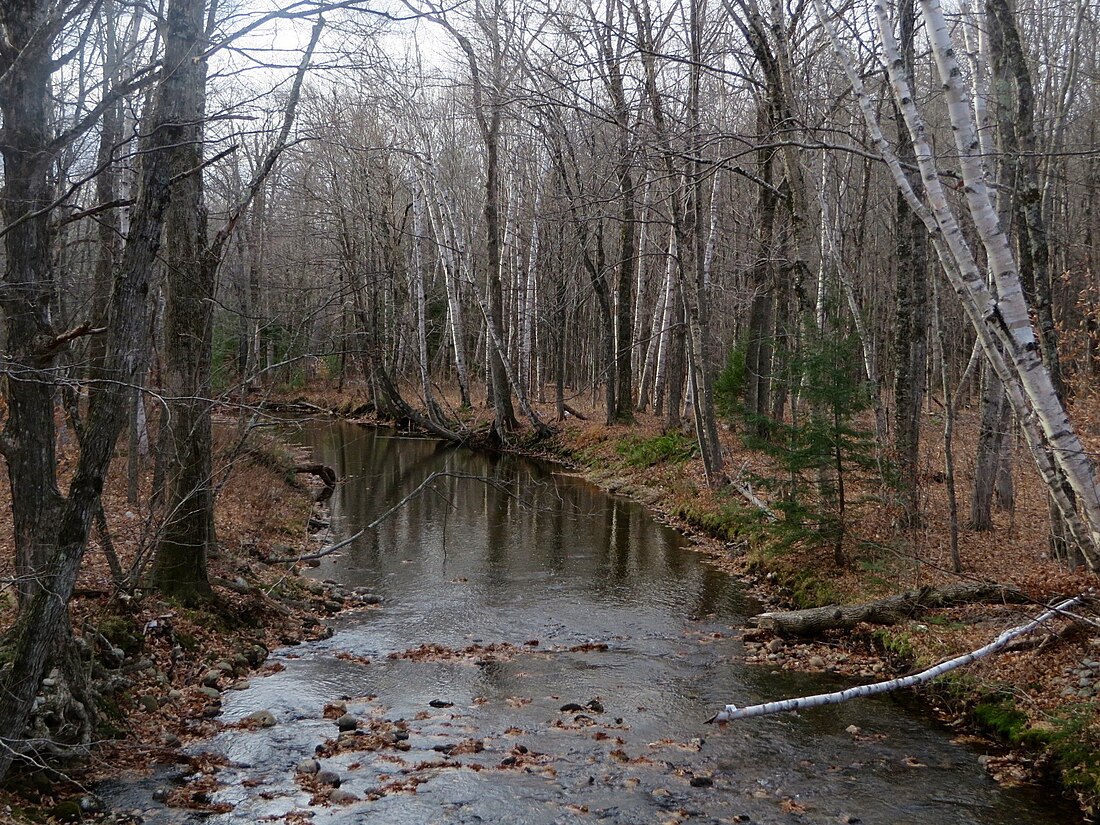 Cold River (Maine–New Hampshire)