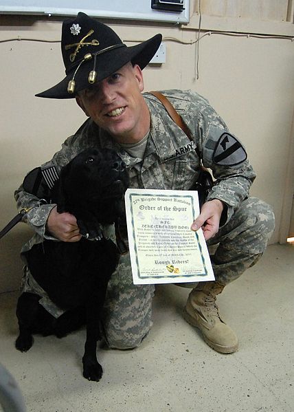 File:Combat stress control soldier, working dog inducted into Order of the Spur DVIDS380999.jpg