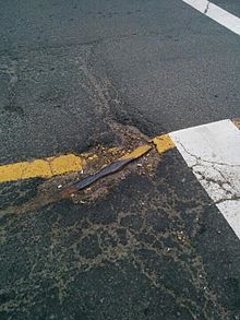 A remnant of the railway's eastern line embedded into Lisgar Street at Elm Street. CopperCliffRailwayRemnant.jpg