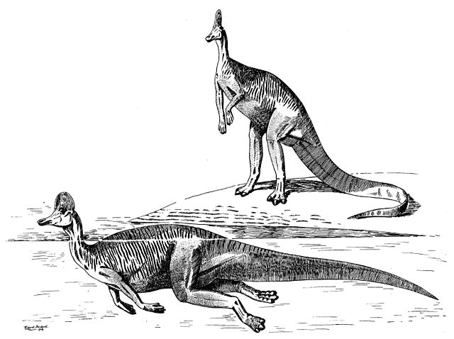 From the mid 19th century through much of the 20th century, hadrosaurs were considered aquatic animals which subsisted on soft water plants