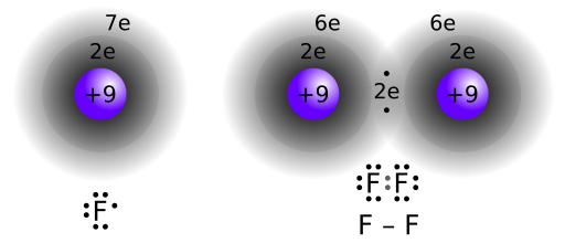 Covalent bond fluorine