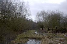 A section of the canal in shallow water just before the Codnor Park Reservoir