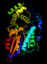 Thumbnail for Lysophosphatidic acid phosphatase type 6