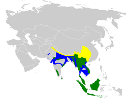 Distribución de C. ceylonensis: residentes en verde, reproductores en amarillo e invernantes en azul.